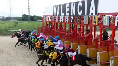 Retirados de la reunión 19 del Hipódromo Nacional de Valencia