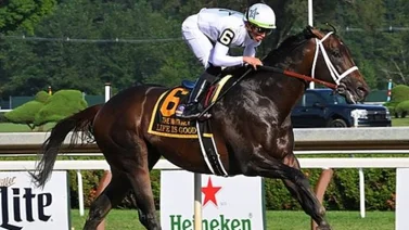 Life is Good conquista el Whitney Stakes en bonita demostración