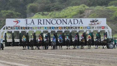 Hipódromo La Rinconada: Estos son los datos de última hora