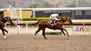 El Campeón del Stud Azatlán calienta motores de cara a la Gala Hípica de Caracas en La Rinconada