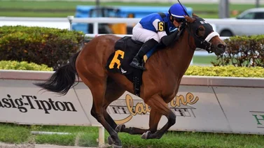 Este jinete venezolano consigue su segundo triunfo en Gulfstream Park