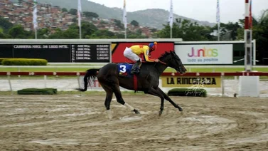 Philomena será preparada para la Copa Dama del Caribe 2022