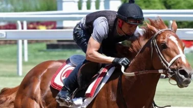 El ganador del Kentucky Derby está en Nueva York para disputar el Travers