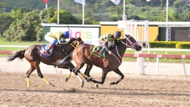 Lady Pianist con mucha opción para conquistar la primera dominical en La Rinconada