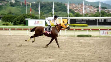 La Rinconada con 10 carreras para este domingo