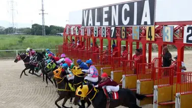 Retirados de la reunión 20 del Hipódromo Nacional de Valencia Retirados de la reunión 20 del Hipódromo Nacional de Valencia