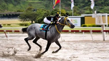 Clásico Internacional Fundación de Propietarios Hípicos de Venezuela promete ser una carrera electrizante