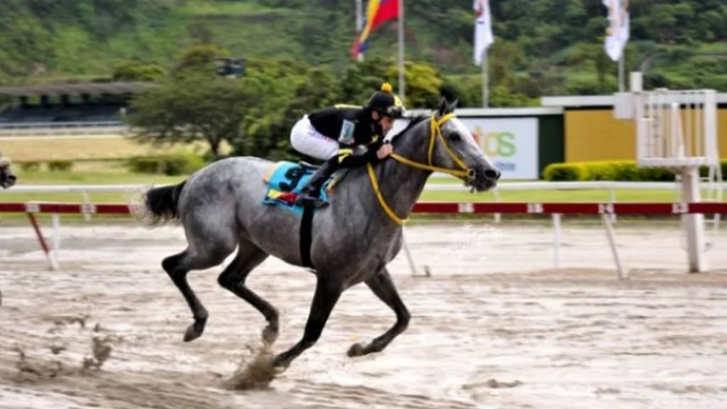 Clásico Internacional Fundación de Propietarios Hípicos de Venezuela promete ser una carrera electrizante