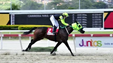 ¿Cuál fue la última carrera que ganó Sandovalera?