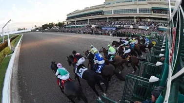 Datos de las carreras americanas (Simulcast Gulfstream Park 27/08/2022)