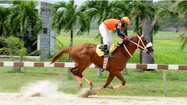 Gran Trueno calienta motores para participar en el Clásico Internacional Simón Bolívar