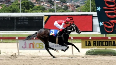 Fast Sensations debuta al galope en el Clásico Julián Abdala