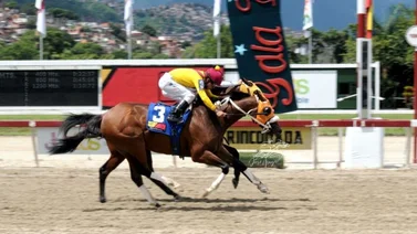 Srta Chenoma gana el Sprinters yeguas en final dramático