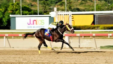 Avelina Queen regresa al hipódromo La Rinconada bajo averiguación