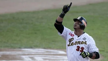 LVBP: Leones del Caracas no cuenta con este pelotero para la próxima zafra