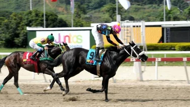 Hay 10 carreras para este domingo en el hipódromo La Rinconada