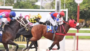 Strength Monster busca mantener su invicto defendiendo los colores del Stud Don Rafael V