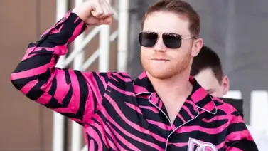 Las millonarias ganancias que obtendrá el Canelo en el combate ante Gennady Golovkin Las millonarias ganancias que obtendrá el Canelo en el combate ante Gennady Golovkin