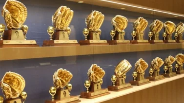 MLB: Estos venezolanos entran en la contienda por el nuevo premio de Grandes Ligas