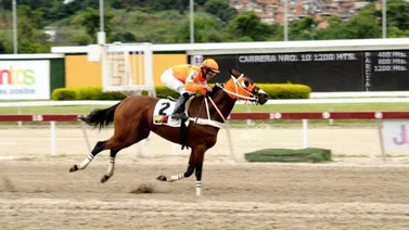 La Rinconada se viste de gala para la reunión 39 de este domingo