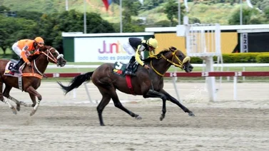 Python con todo listo para conseguir su primer triunfo en La Rinconada