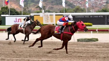 Stronger y Masttery protagonizan la primera carrera del domingo en La Rinconada