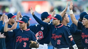LVBP: Vea aquí los uniformes que lucirán los Tigres de Aragua (+Video)