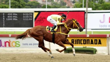 My Trusting Mate con todo en orden para su primer triunfo en La Rinconada