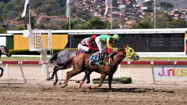 El Gran Bricelio reaparece después de 161 días sin correr en La Rinconada