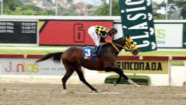 El Stud MM toma el mando de la estadística de 2022 en La Rinconada