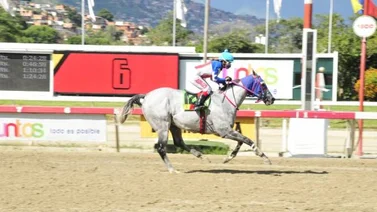 Hispania y Skyhook serán los protagonistas del Clásico Hipódromo Internacional Rancho Alegre