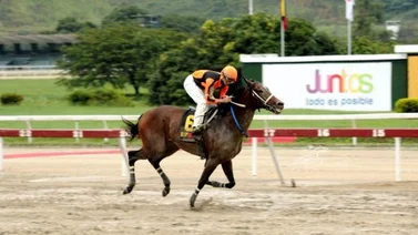 Estos son los inscritos de la reunión 40 en el hipódromo La Rinconada