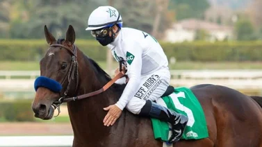 Life Is Good reaparece el sábado en el Woodward Stakes