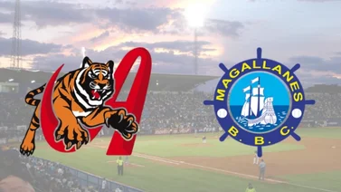 LVBP: Por esta razón, Magallanes y Tigres no estaban bajo sanciones