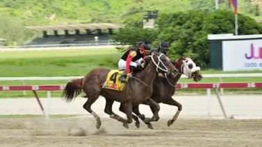 Catire Will vuela en la recta final para quedarse con el Clásico Internacional Rancho Alegre