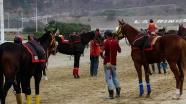 Retirados de la reunión 40 de Carreras en La Rinconada 2/10/2022