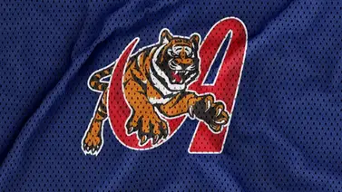 LVBP: Tigres de Aragua anuncian a los jugadores invitados a sus entrenamientos LVBP: Tigres de Aragua anuncian a los jugadores invitados a sus entrenamientos