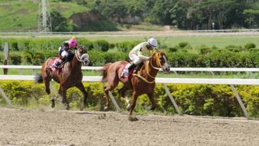 My Titico Mate por el clásico Virgilio Decán en La Rinconada