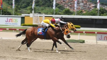 Strength Donatella la principal candidata en el III clásico Ezequiel Zamora