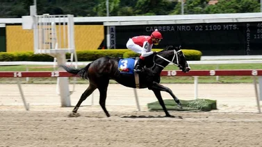 Tiz Sensation es lo más fijo de las no válidas en La Rinconada