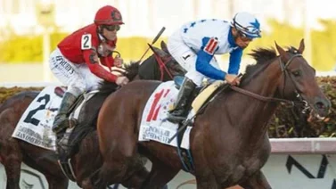 The Brother Slew reaparece en nueva cuadra después de 126 días sin correr en La Rinconada