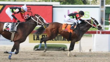 King Ponchi a defender su invicto en la cuarta válida de La Rinconada