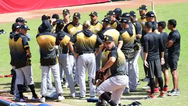 LVBP: Los Leones del Caracas cubren las bajas en el bullpen LVBP: Los Leones del Caracas cubren las bajas en el bullpen