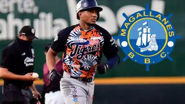 LVBP: Lázaro Hernández y el gran reto que tiene con Magallanes (+Videos) LVBP: Lázaro Hernández y el gran reto que tiene con Magallanes (+Videos)