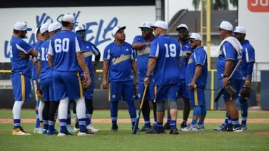 LVBP: Magallanes va viento en popa durante su pretemporada (+Fotos)