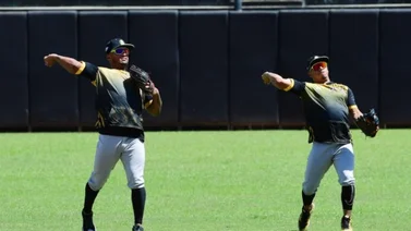 LVBP: Leones chocará ante Tigres este viernes para recaudar insumos a beneficio de Las Tejerías