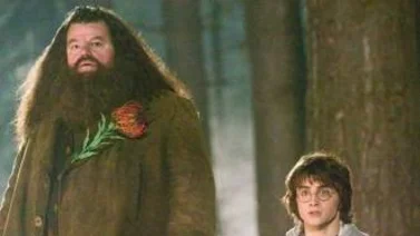Elenco de Harry Potter le dedican sus palabras al eterno Hagrid