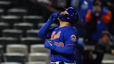 MLB: Francisco Álvarez se recupera de esta delicada operación (+FOTO) MLB: Francisco Álvarez se recupera de esta delicada operación (+FOTO)