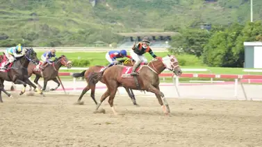Lusitano a defender el título del Simón Bolívar en La Rinconada Lusitano a defender el título del Simón Bolívar en La Rinconada