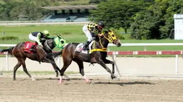 Vuelve la emoción del Clásico Simón Bolívar en la reunión 44 de La Rinconada Vuelve la emoción del Clásico Simón Bolívar en la reunión 44 de La Rinconada